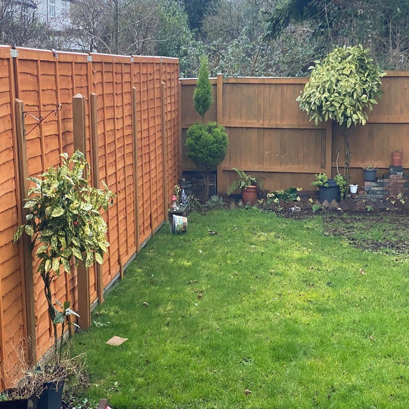 Sutton Build